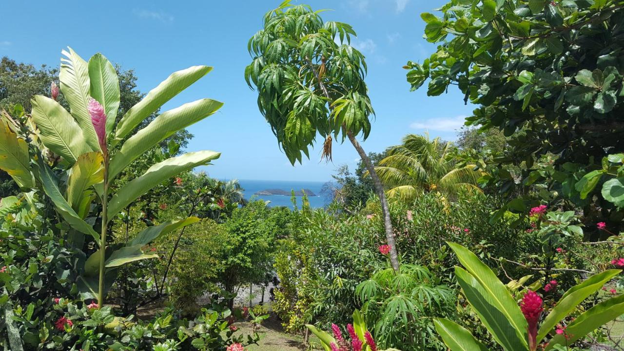 Vacances Bien Etre Guadeloupe Bouillante Exteriör bild