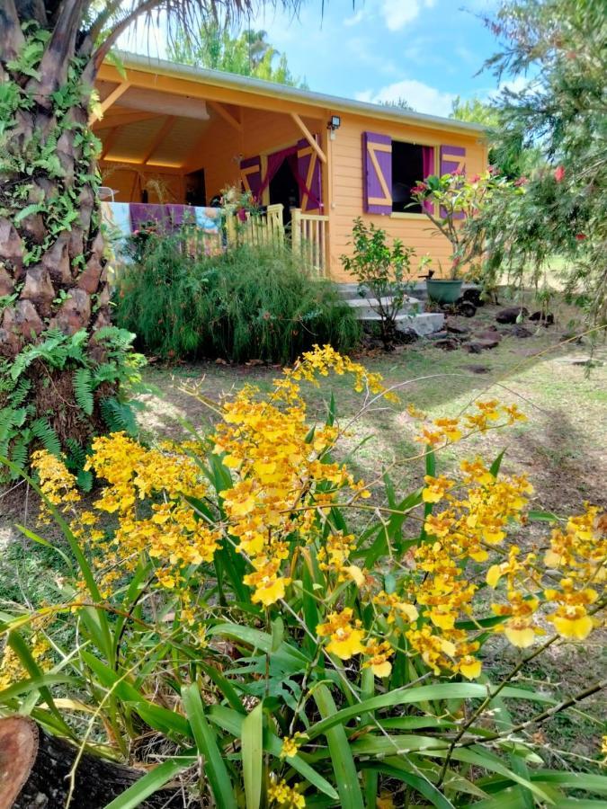 Vacances Bien Etre Guadeloupe Bouillante Exteriör bild