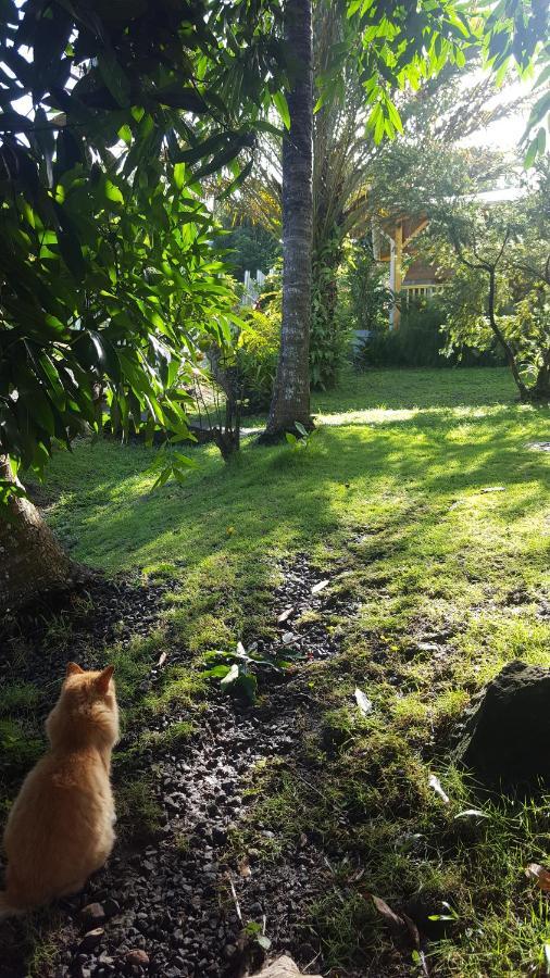 Vacances Bien Etre Guadeloupe Bouillante Exteriör bild