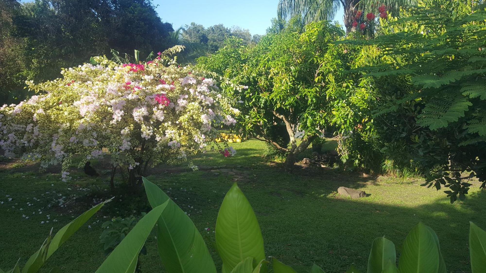 Vacances Bien Etre Guadeloupe Bouillante Exteriör bild