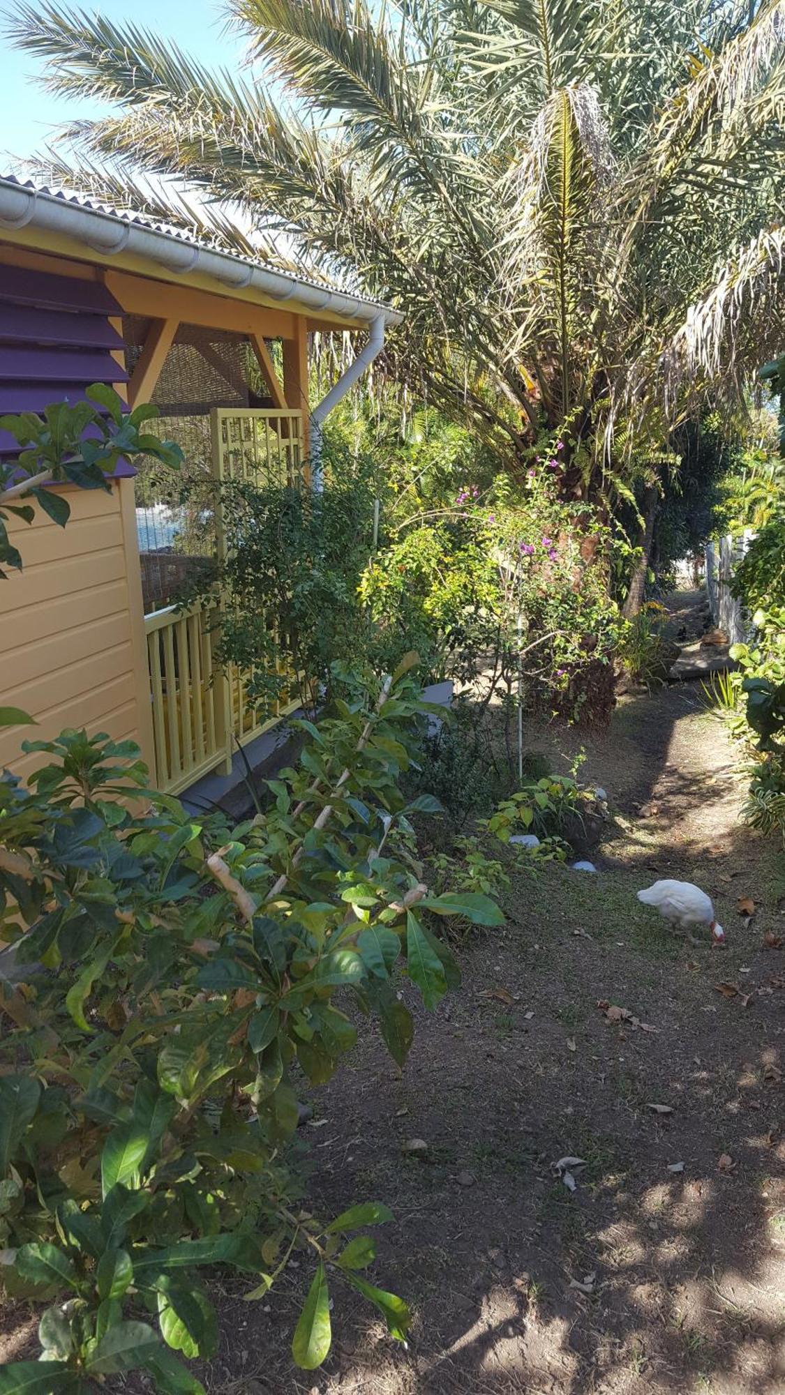 Vacances Bien Etre Guadeloupe Bouillante Exteriör bild