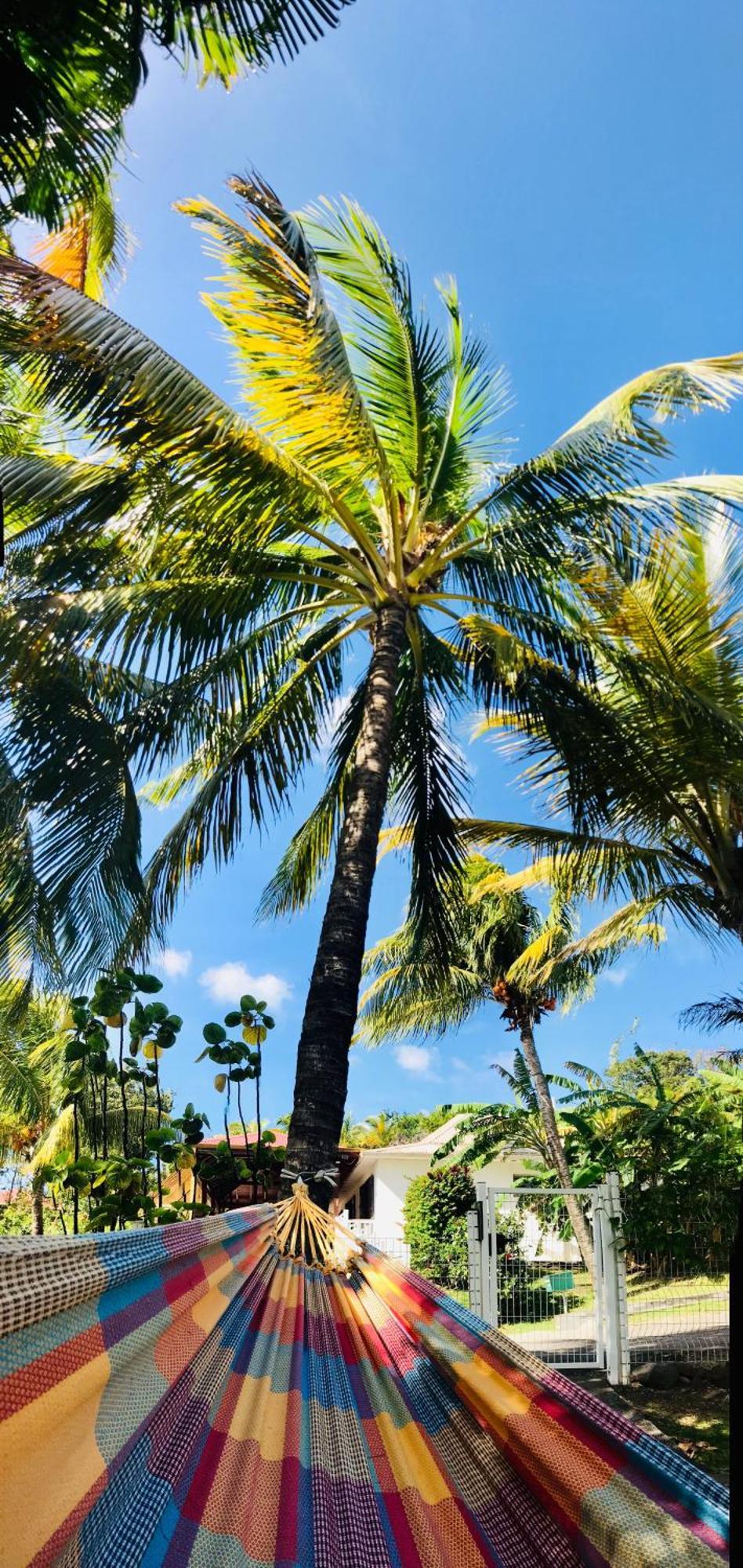 Vacances Bien Etre Guadeloupe Bouillante Exteriör bild